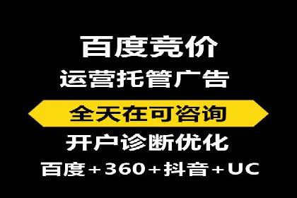 竞价SEM案例分享：行业霸主崛起之路